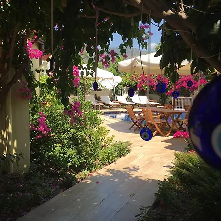 Kybele Gocek גוג'ק