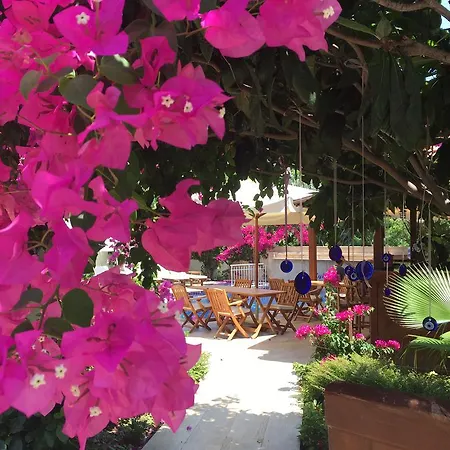 Kybele Gocek גוג'ק