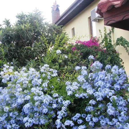 מלון Kybele Gocek גוג'ק