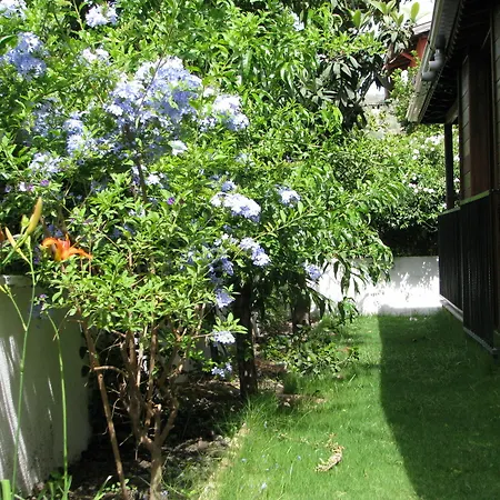 Kybele Gocek 3* גוג'ק