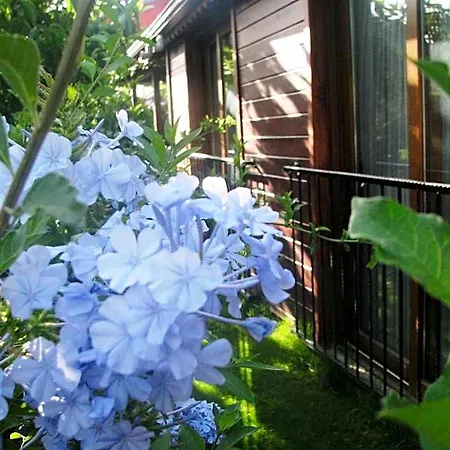 Kybele Gocek Hotel 3*
