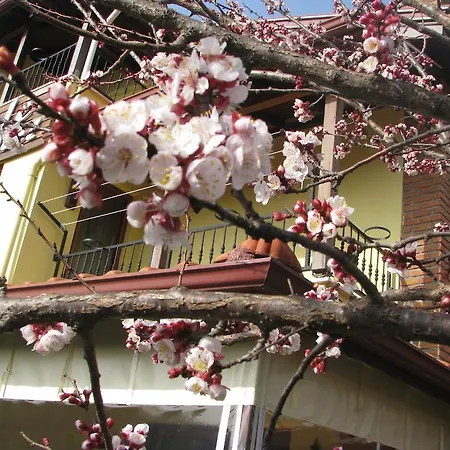 Hotel Kybele Gocek 3*
