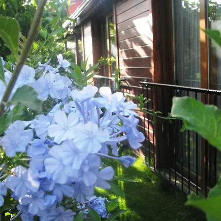 Kybele Gocek 3* 교젝