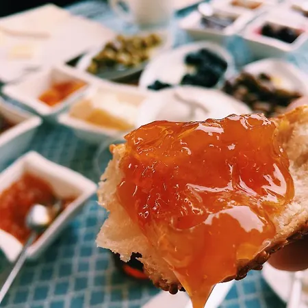 Kybele Gocek 3* ギョジェク