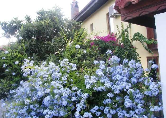 מלון Kybele Gocek גוג'ק