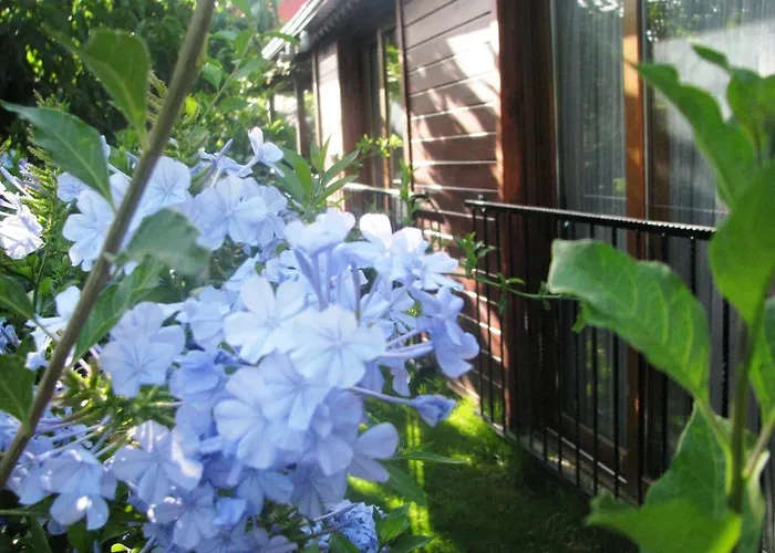 Kybele Gocek 3* גוג'ק