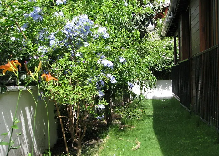 Kybele Gocek 3* גוג'ק